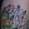 fainting goat