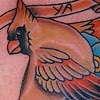 Fred Pinckard