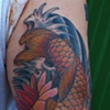 koi fish