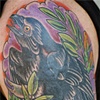 crow cover up