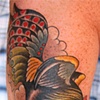 Rooster by Katie Davis