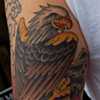 eagle