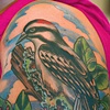 woodpecker