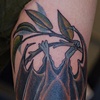 bat by katie davis