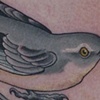 mockingbird by Katie Davis