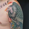Condor