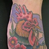 Cock