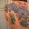Roses