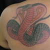 Cobra