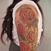Roses