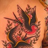 Swallows