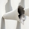 Ejecta - detail