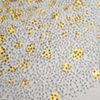 Parallax no. 3 - detail