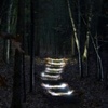 Path