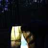 Fort 1