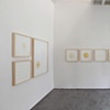 Parallax - installation view