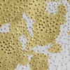 Parallax no. 7 - detail