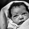 lynia