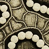 Plexus- detail