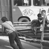 Man Hauling Bamboo