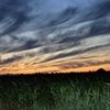 A Summer Night