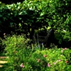 The Secret Garden Of Wonderland