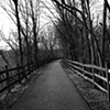 The Long Path
