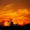 Simply Orange
