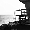 The Lookout