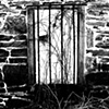 The Escape