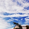 Beauty Above Us
