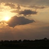 Rays Of Light