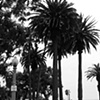 Santa Monica