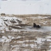 Gravel pond