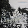 Trout Creek where it flows through Faller's land