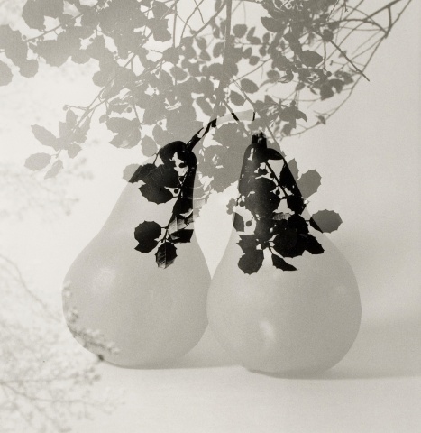 Two Pears