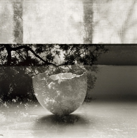 Eggshell