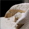 White Bread and Crackers