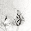 Pear Silhouette