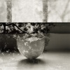 Eggshell