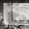 Lime Diptch