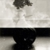 Three Pears