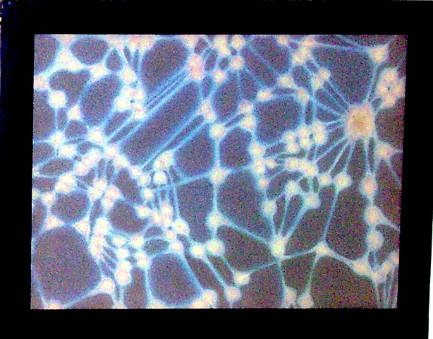 Web