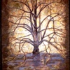 icon tree-linden
