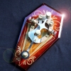 Painted maple coffin