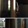 Selected Images