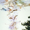 Disturbance