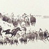paintings 2005 - 2007
