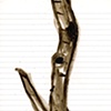 Drawings