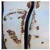 Remainder
Untitled Diptych 05
